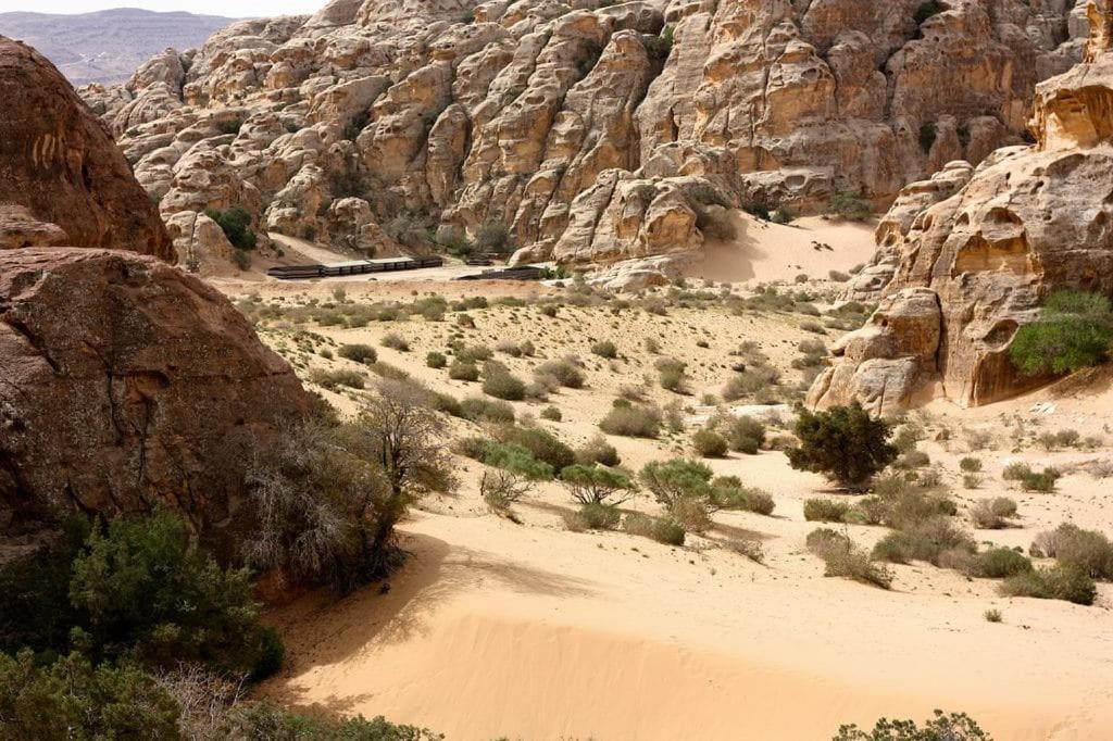 Hotel Ammarin Bedouin Camp Wadi Musa Exterior foto